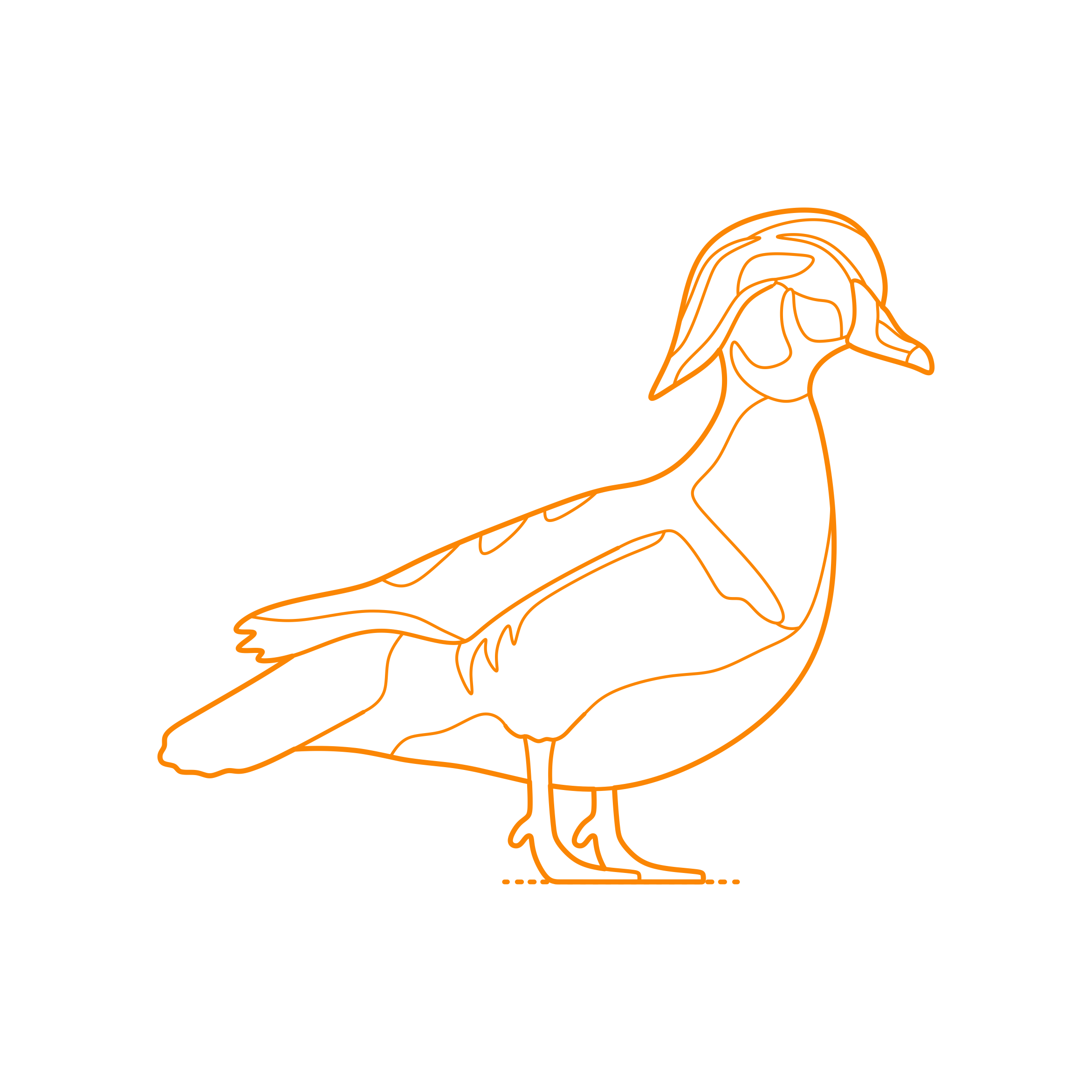 Animals Waterfowl Wood Duck Outline Svg File Free Vectors